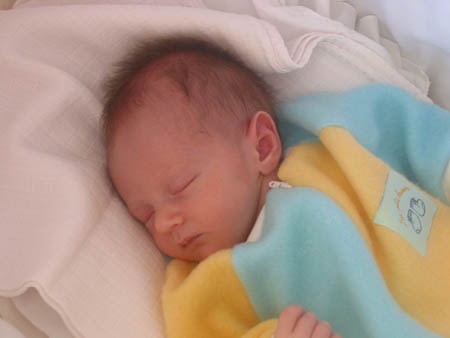 105-0588_IMG
